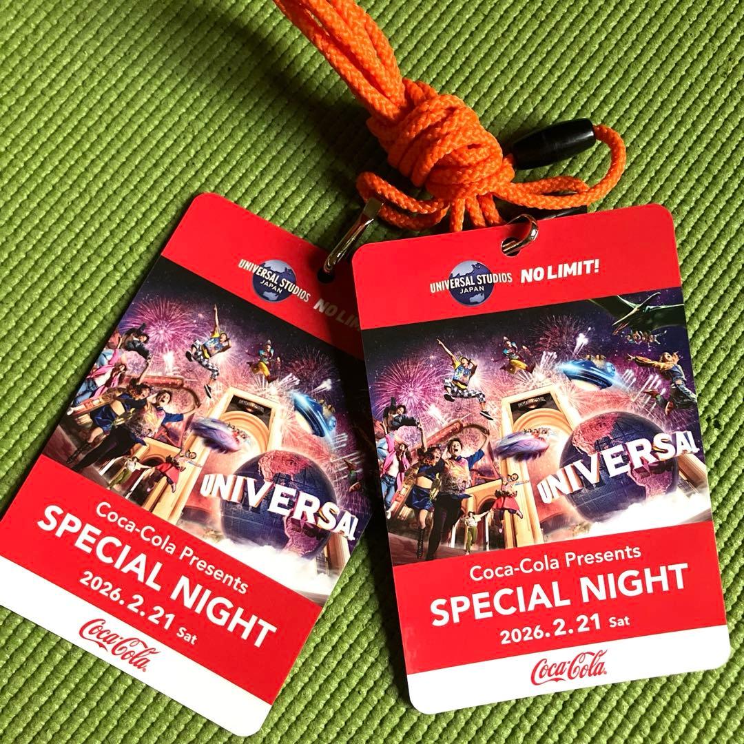 2026年2月21日(土) USJ 貸切ナイト ペアチケット - メルカリ