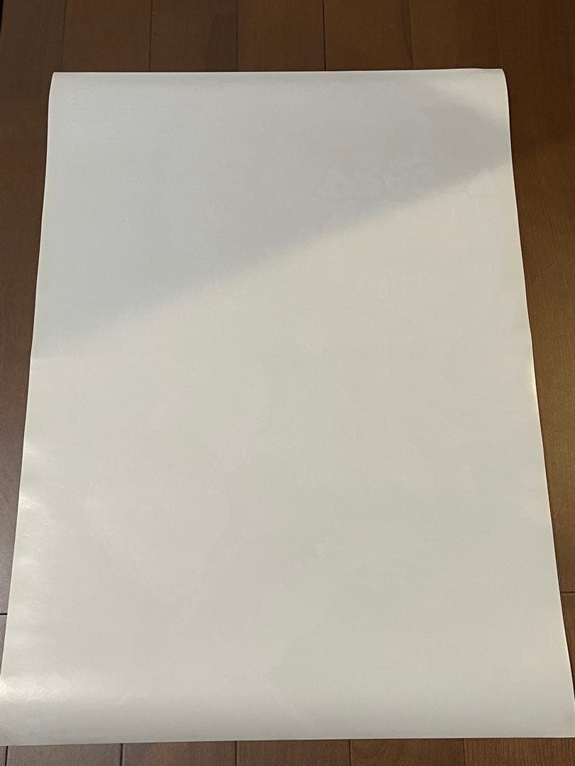 ドラゴンボールZ 映画ポスター 95夏 東映アニメフェア 龍拳爆発