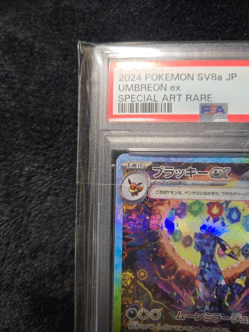 ブラッキーex SAR PSA10 テラスタルフェスex 217/187