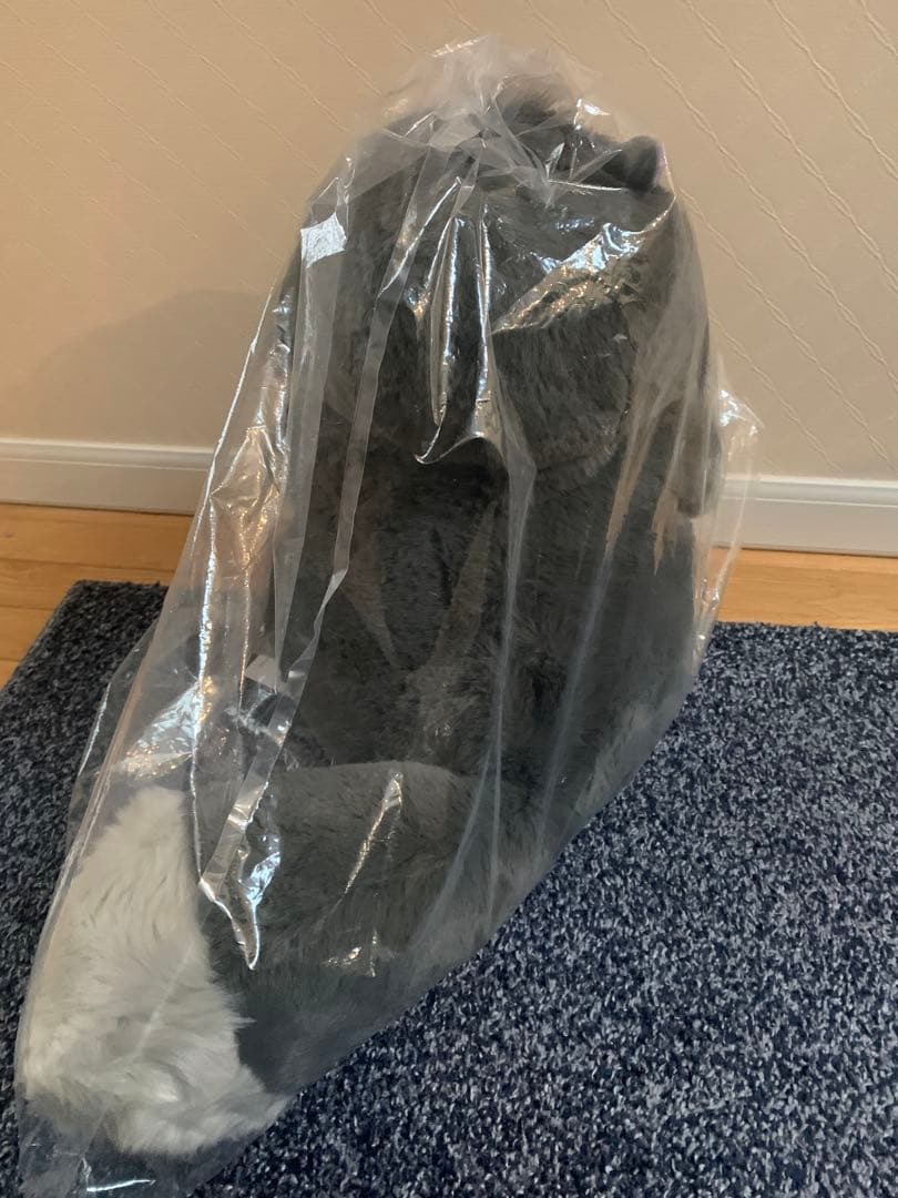 2024年猫の日　ルシファー ぬいぐるみ　約40cm ディズニーシンデレラ