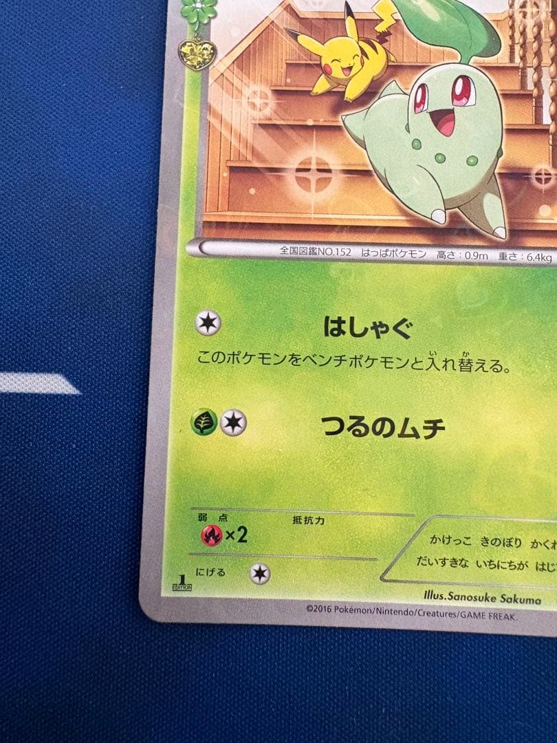 ポケカポケモンカードXYポケキュンコレクションチコリータピカチュウ
