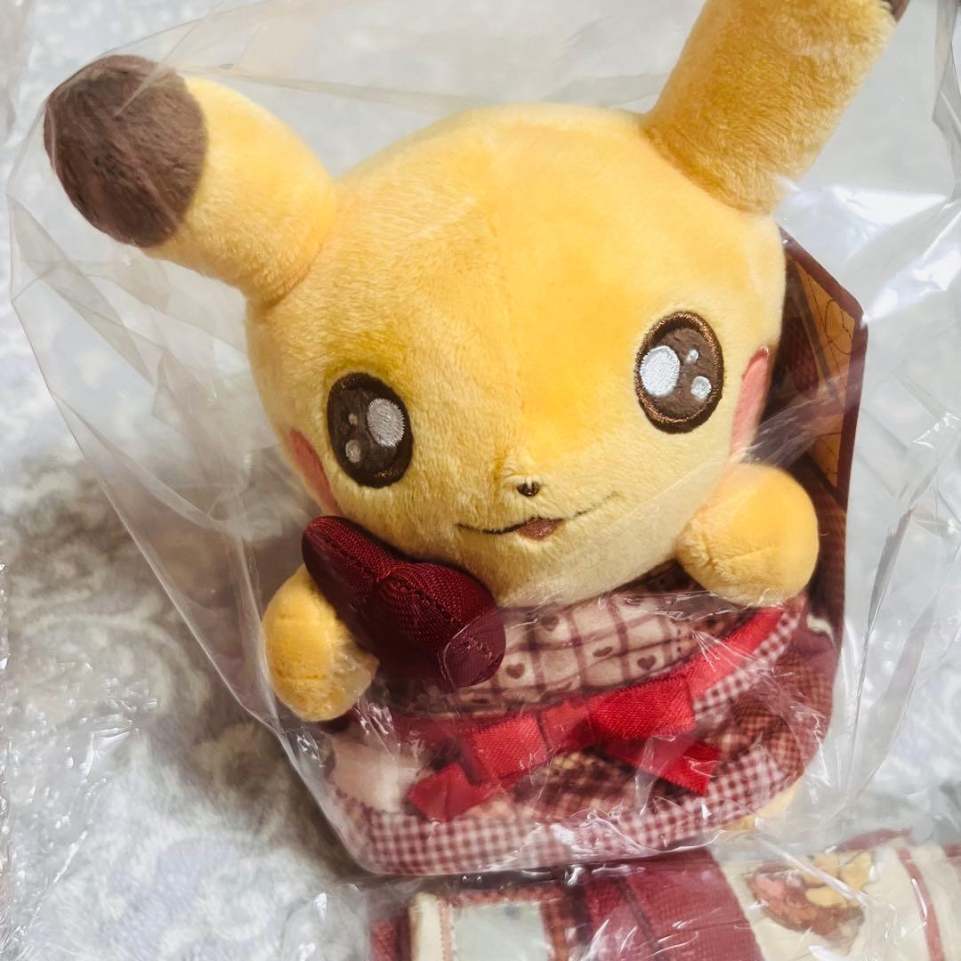 Pikachu’s Sweet Delivery ピカチュウ