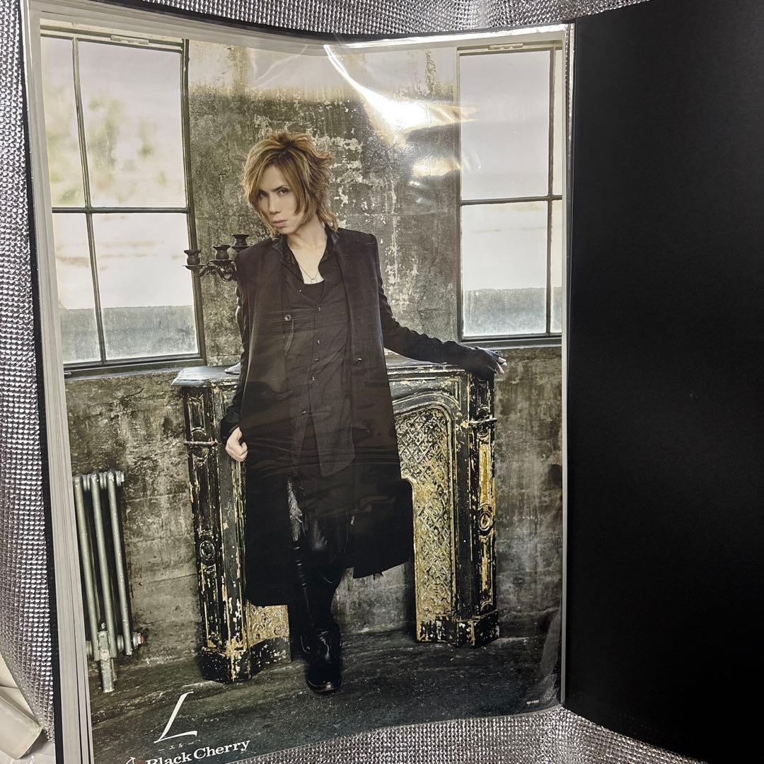 Acid Black Cherry ポスター 21枚