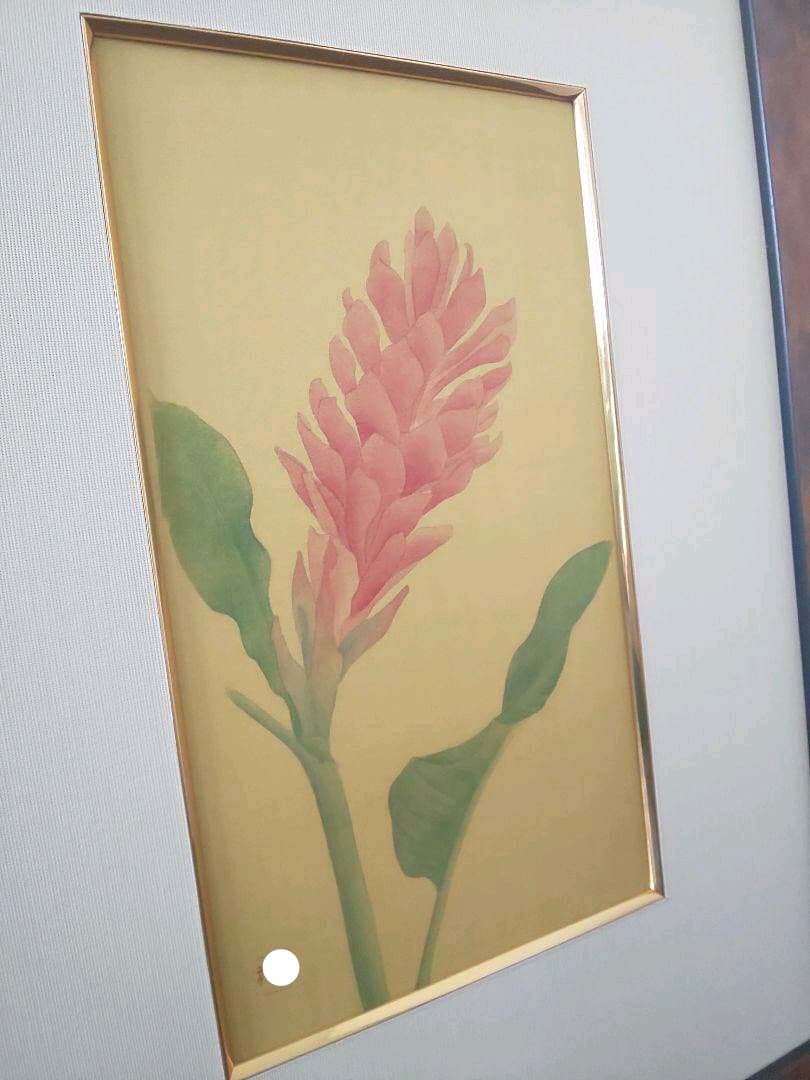 絵画 額付き ヒメバショウ 絹本 花鳥画