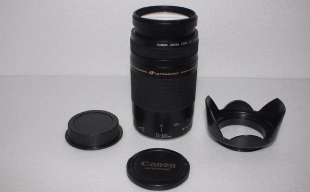 スポーツ＆イベント☆望遠レンズ☆キャノン Canon EF75-300㎜ - メルカリ