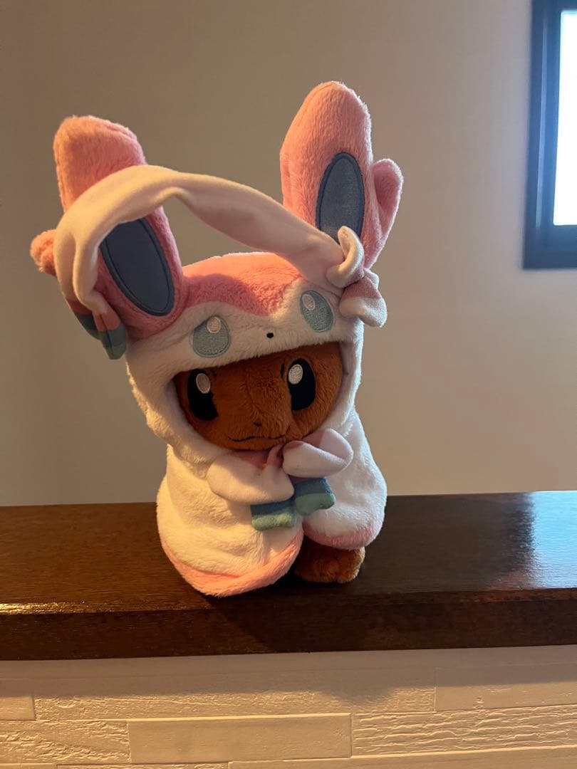 希少！ポンチョを着たイーブイセット