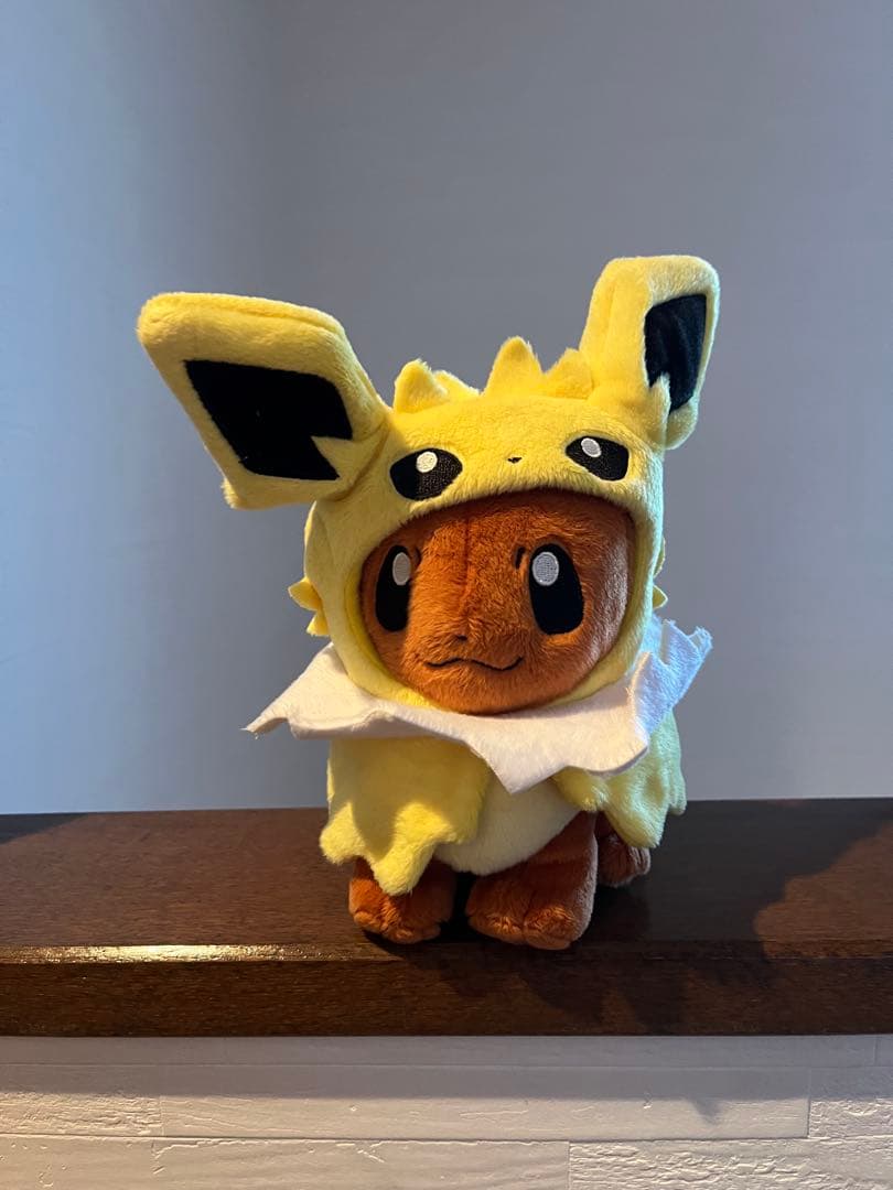 希少！ポンチョを着たイーブイセット