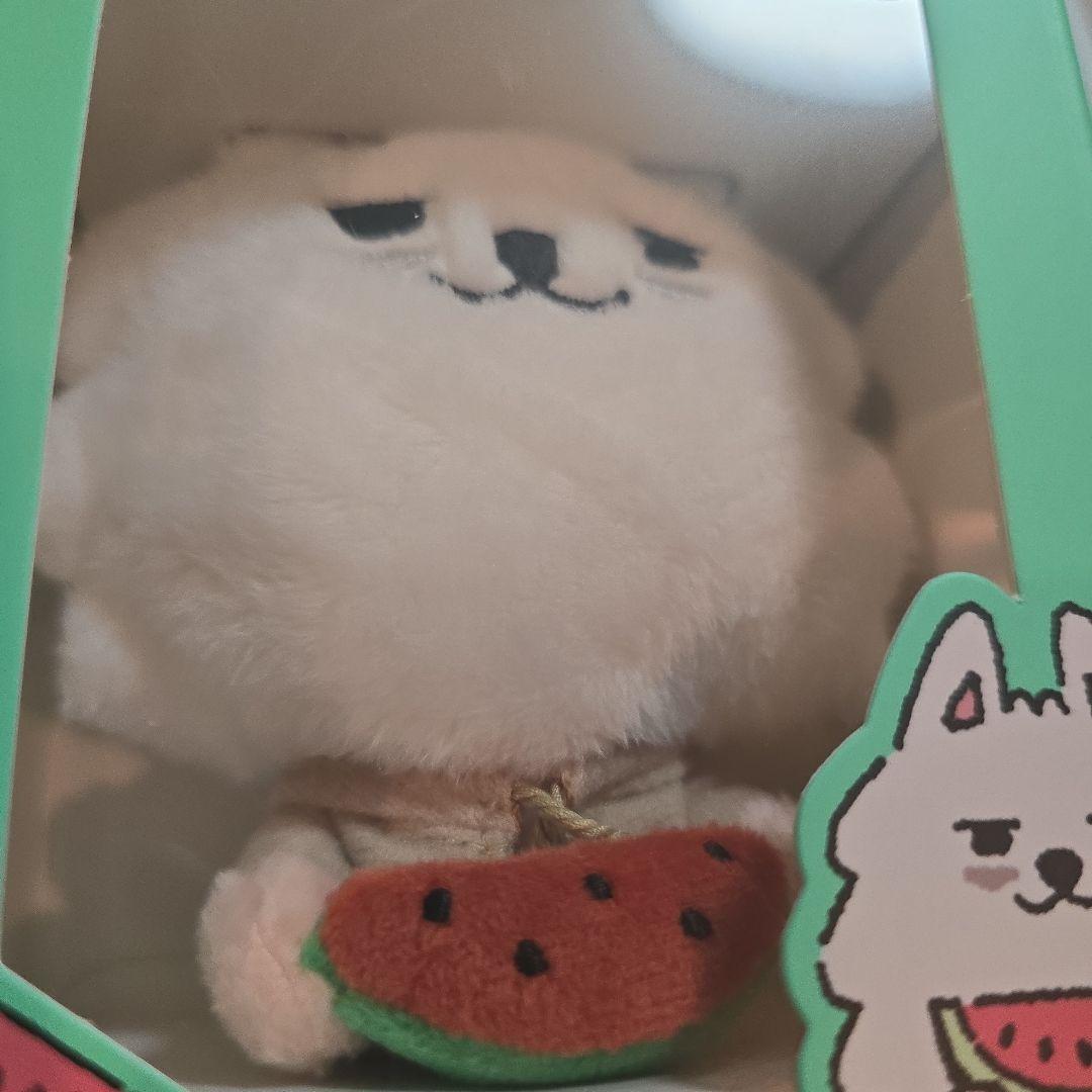 ppulbatu プルバトゥ ヨンモン スイカ summer together - メルカリ