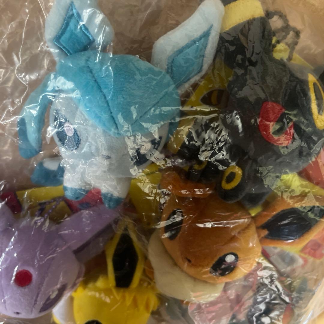 タグ付 もっちりマスコット ポケモンドールズ ブイズ 9匹コンプリート