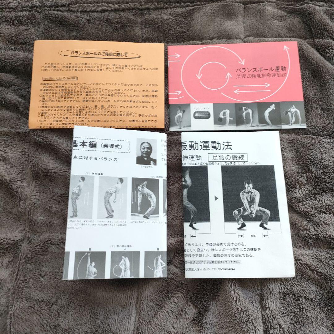 美坂式軽量振動運動法 バランスボール 鉄球 3㎏ ジャパンターナー 取説
