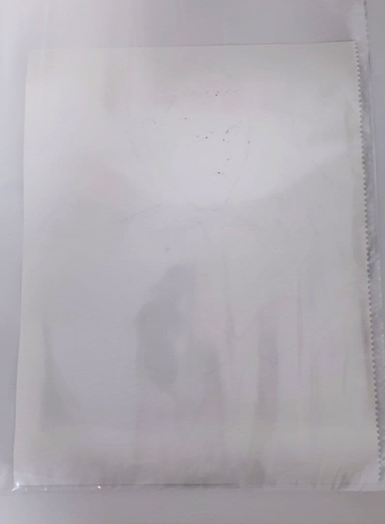 希少 檜山修之 直筆サイン入り デミトリ イラスト 画用紙 ポスタースリーブ付き