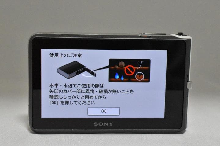 バッテリーx2付】 SONY Cyber-shot DSC-TX30 シルバー - メルカリ