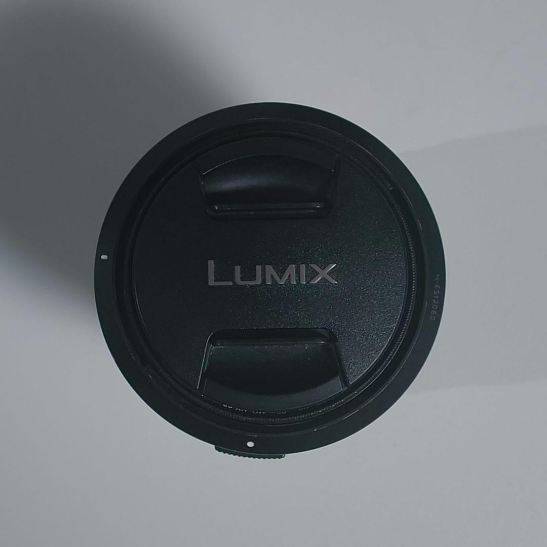 レンズ(ズーム) LEICA DG VARIO-ELMARIT 12-60mm f/2.8-4.0