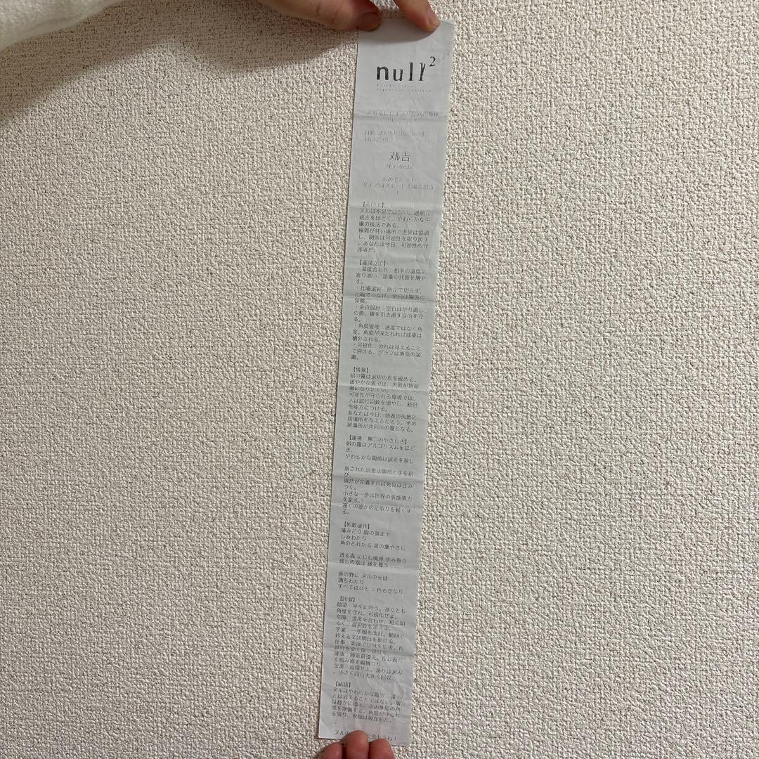 【EXPO関西万博】null2 ヌルヌルおみくじ限定非売品シグネチャー《ヌル吉》