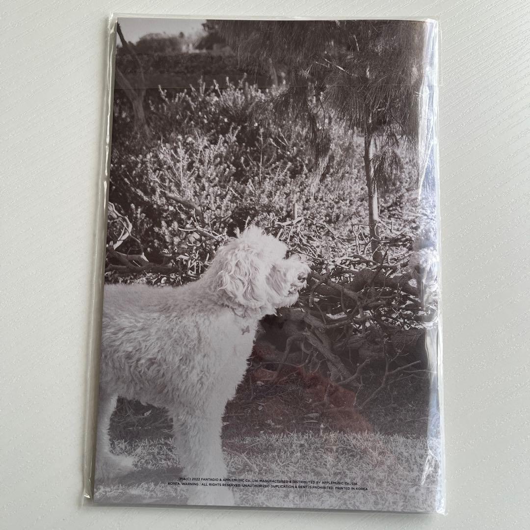 【レア】タンコン magazine ブックレット ユニットトレカ ムンビンサナ