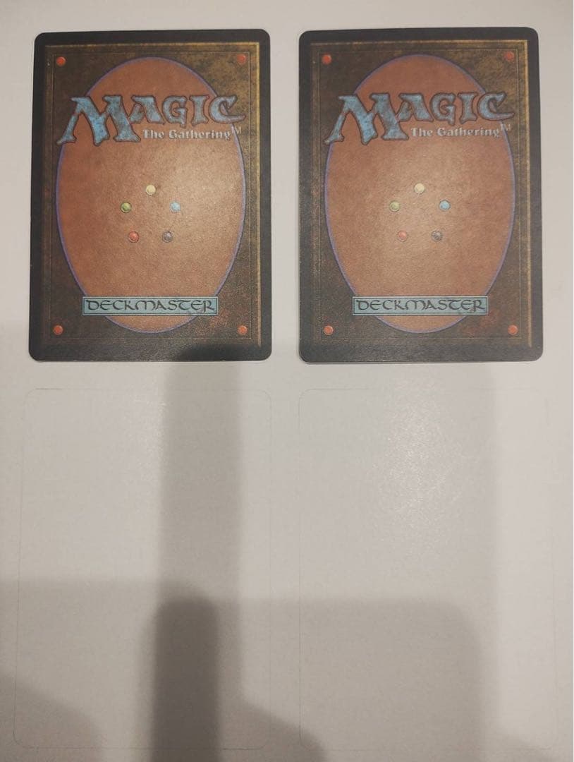 適者生存 2枚セット