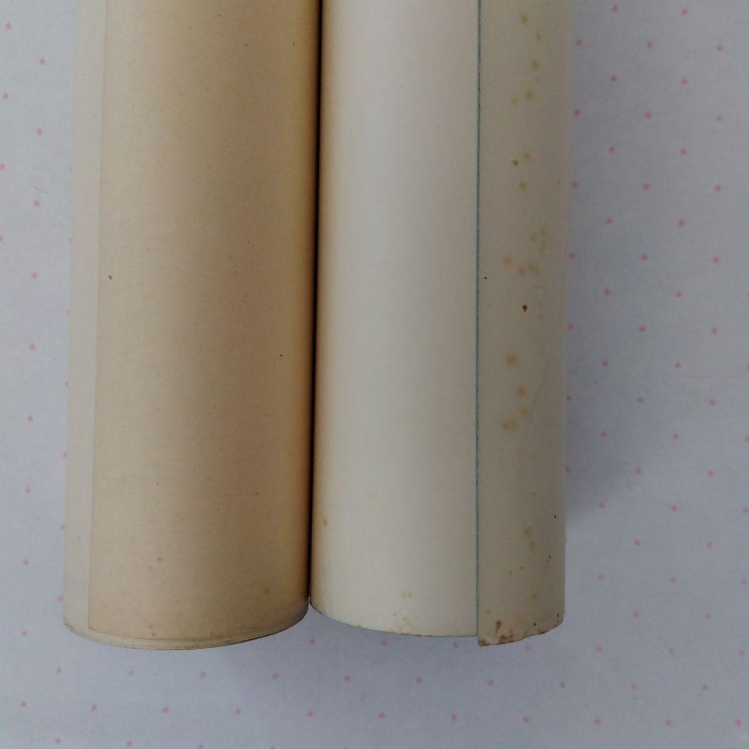 【大地】1972年札幌冬季オリンピックポスター(２枚)