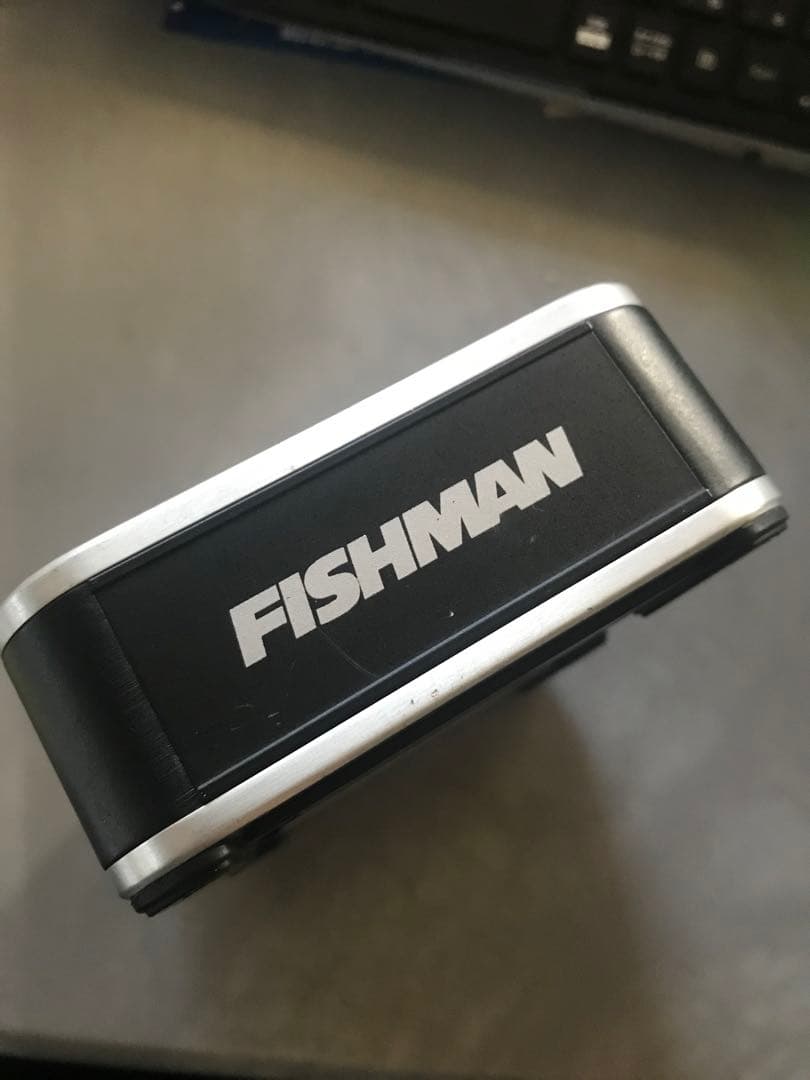 ギター Fishman AURA Nylon