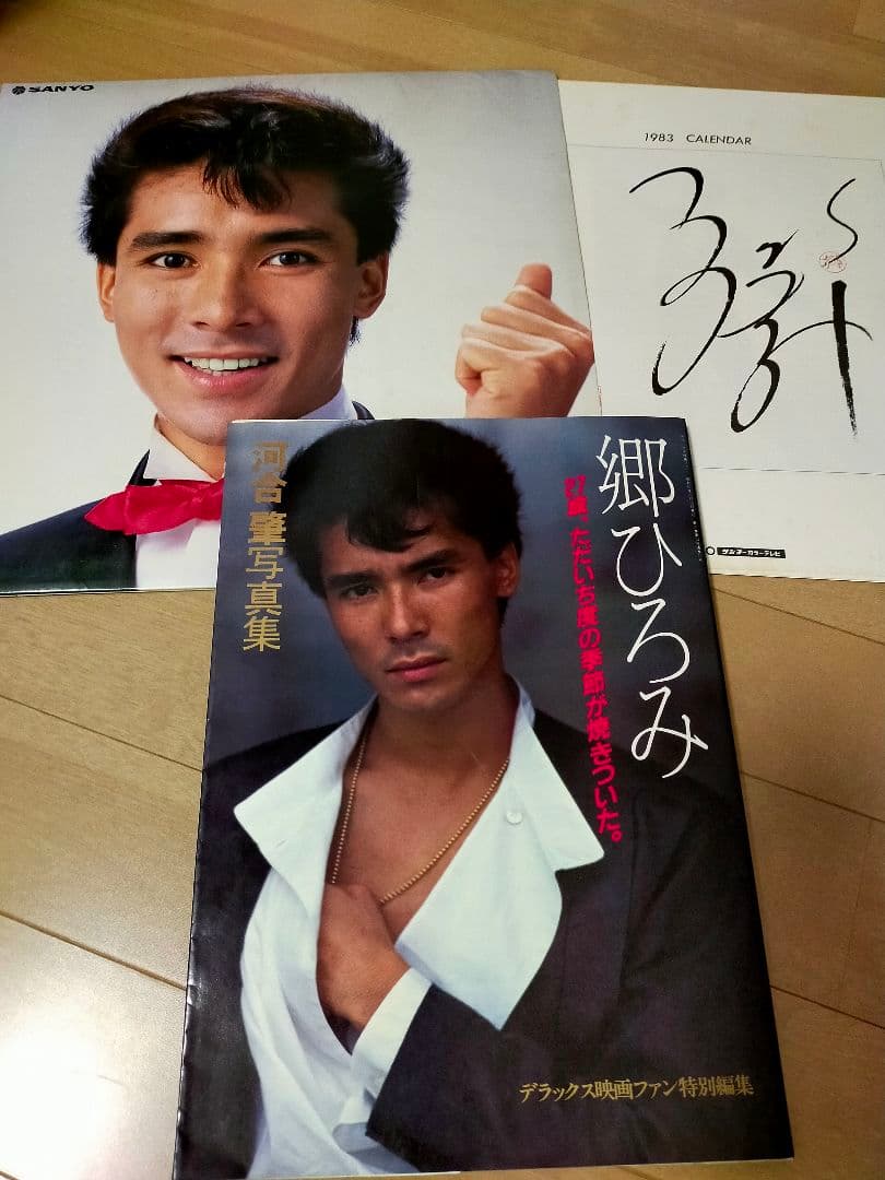 郷ひろみ 27歳、ただいち度の季節が焼きついた 写真集 三洋電機