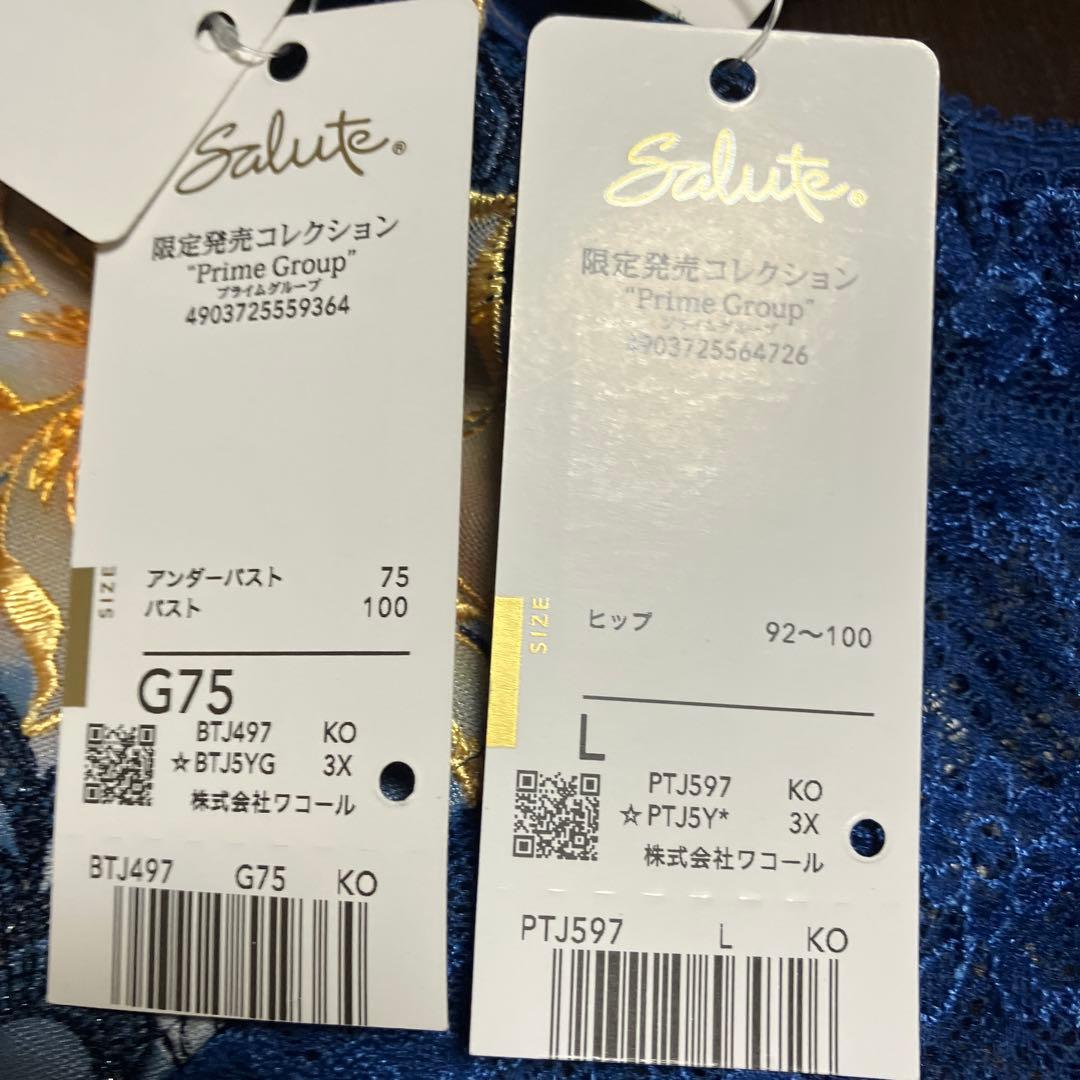 ワコール 97g マレフィセント G75