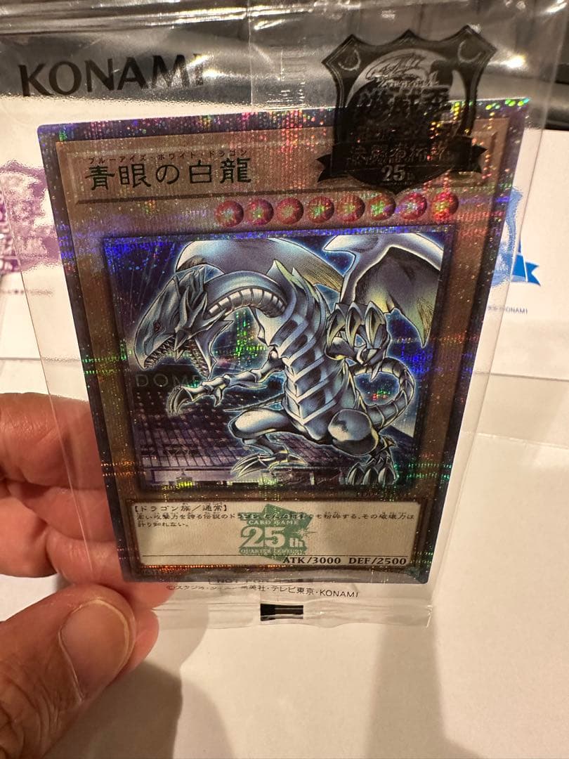 遊戯王 東京ドーム 青眼の白龍 ブラックマジシャン 25th