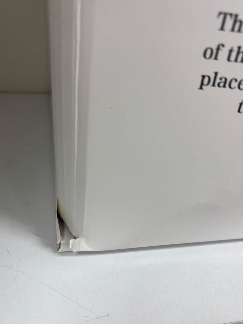 POPMART ZIMOMO ANGEL 天使 ジモモ