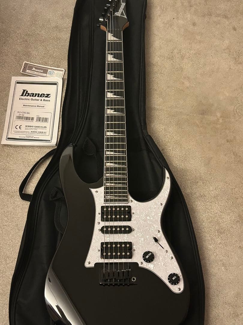 Ibanez RGV250-BK ソフトケース アーム 説明書付属 値下げ交渉〇 Ibanez RGV250-BK ソフトケース アーム 説明書付属 値下げ交渉〇