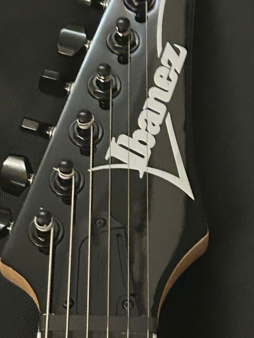 Ibanez RGV250-BK ソフトケース アーム 説明書付属 値下げ交渉〇