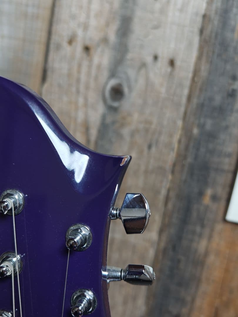 FERNANDES RAVELLEみたいなギター　ノーブランド