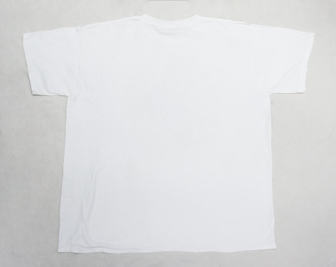 00's POINTFEST Tシャツ Blink-182 Bush 311