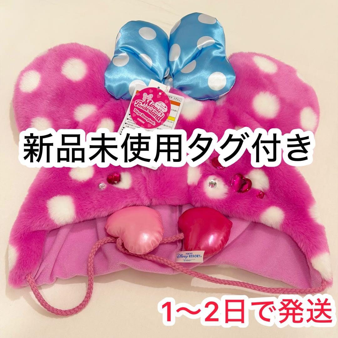 ディズニー ミニー ファンダーランド パルパルーザ ファンキャップ