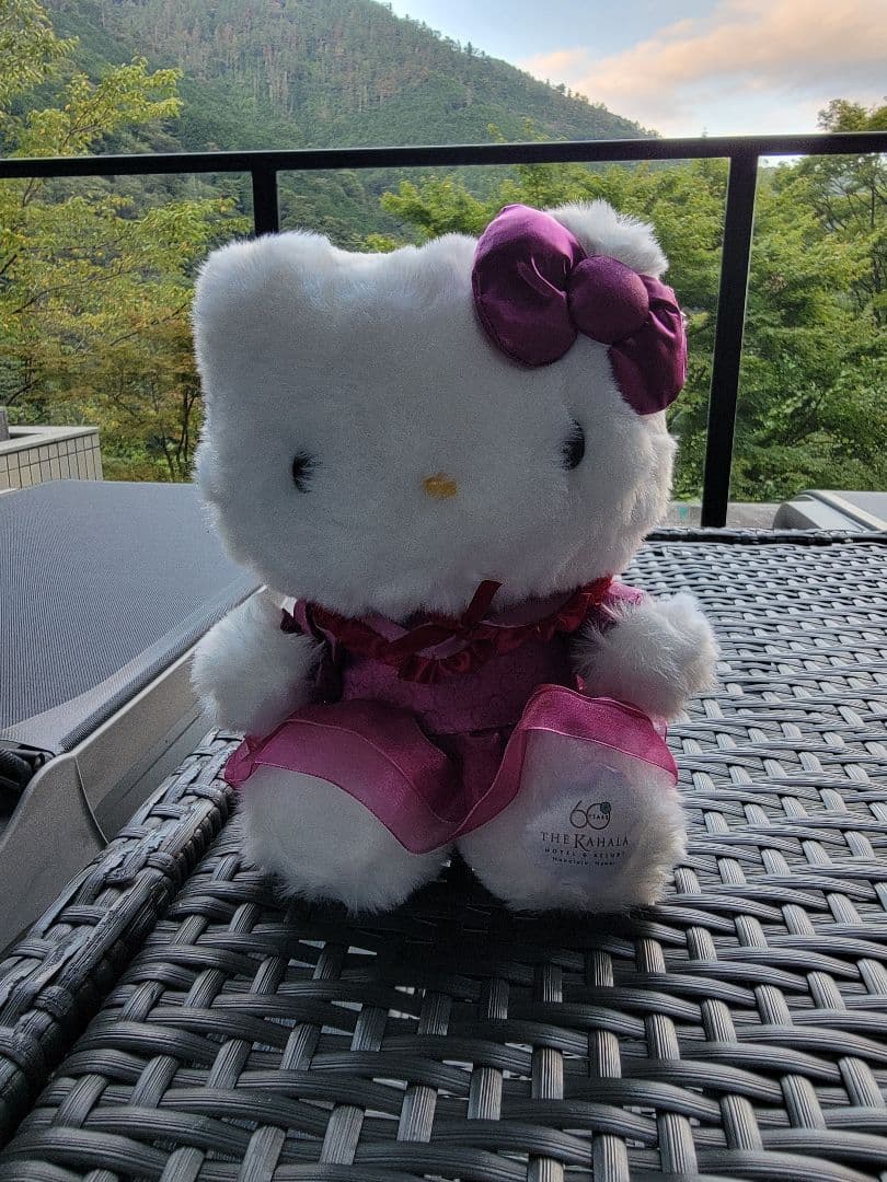 エクシブ限定 ハロー キティ - メルカリ