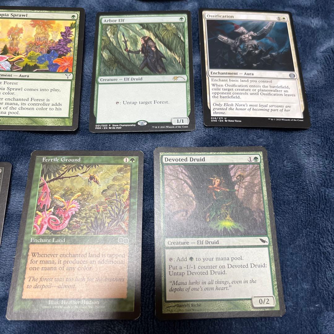 マジック：ザ・ギャザリング MTG request items check