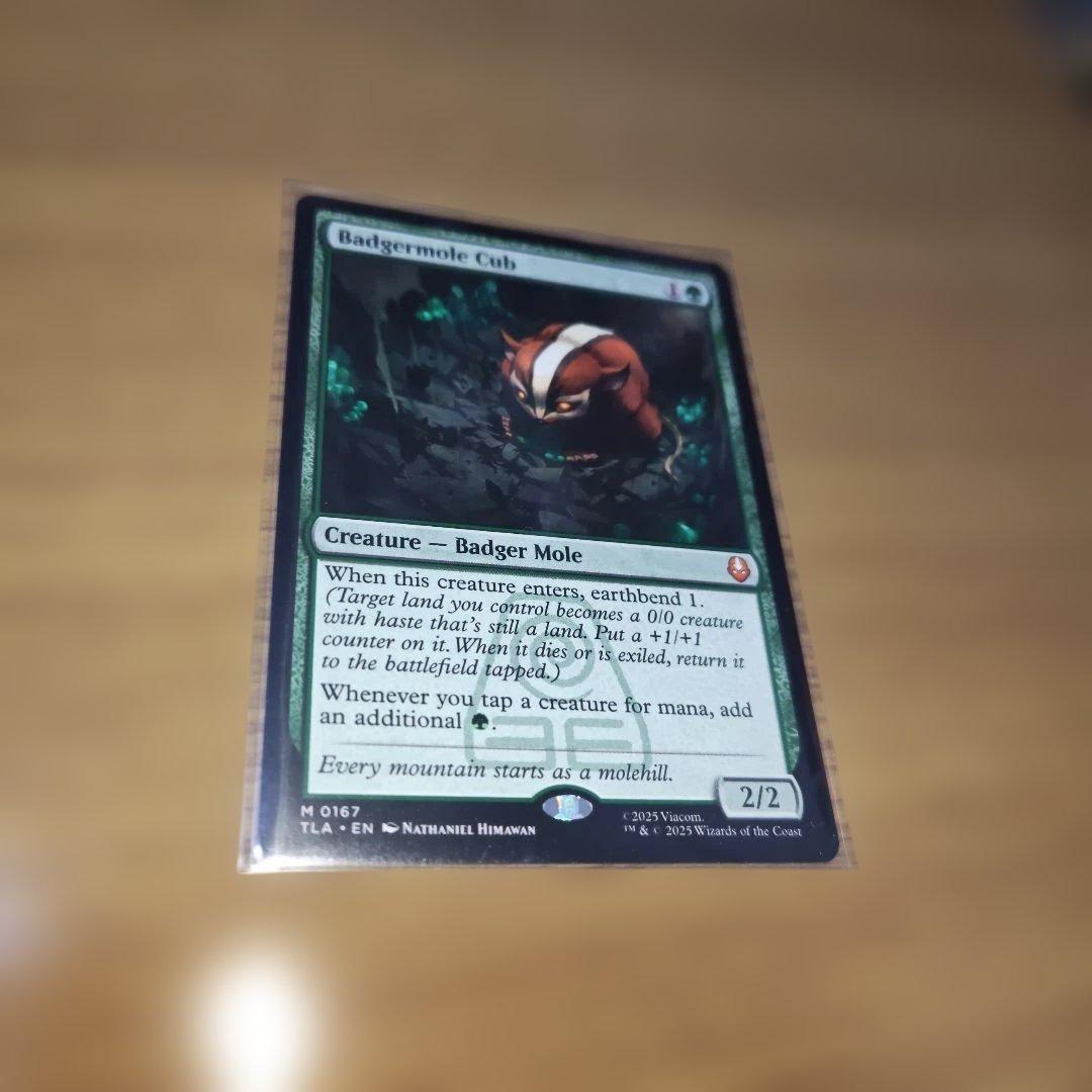 アナグマモグラの仔 英語版 EX+](フルアート)アナグマモグラの仔/Badgermole Cub《英語》【TLA】