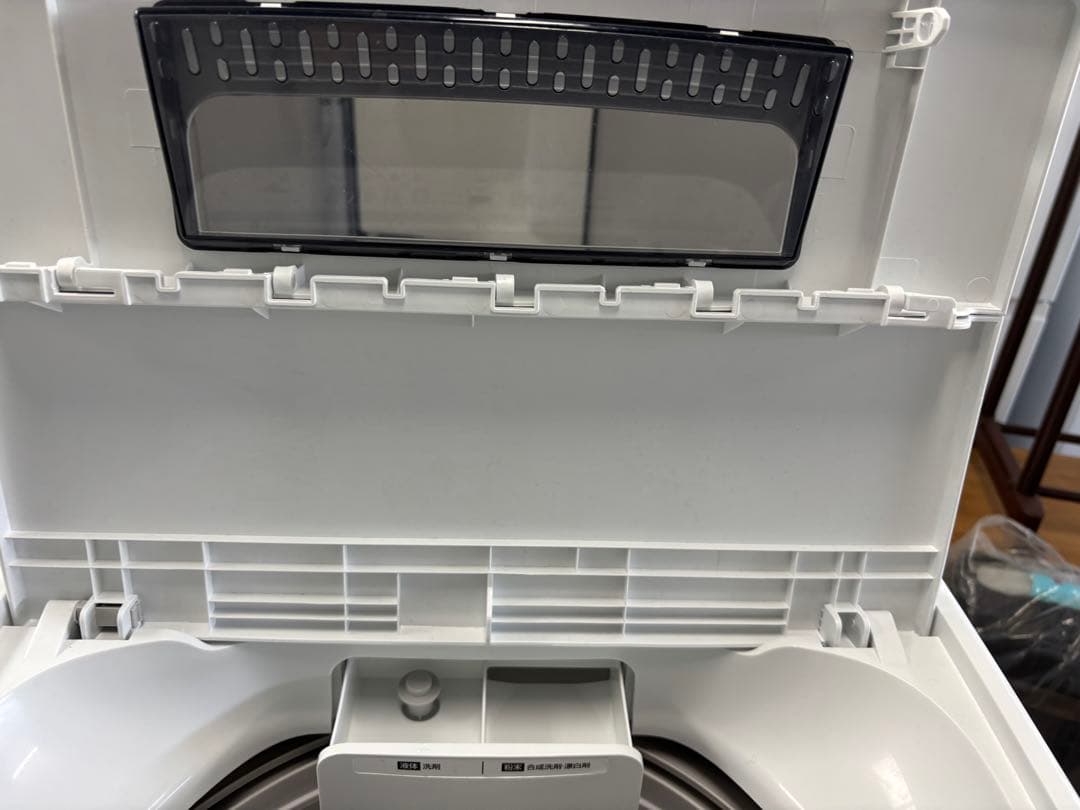 2024年製　アイリスオーヤマ 洗濯機 5.0kg ホワイト IAW-T504