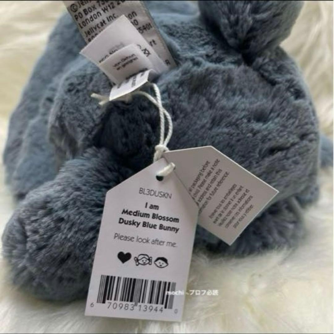 コンのお家ページ