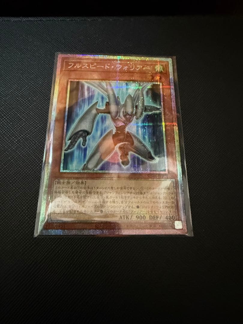 フルスピード・ウォリアー プリシク