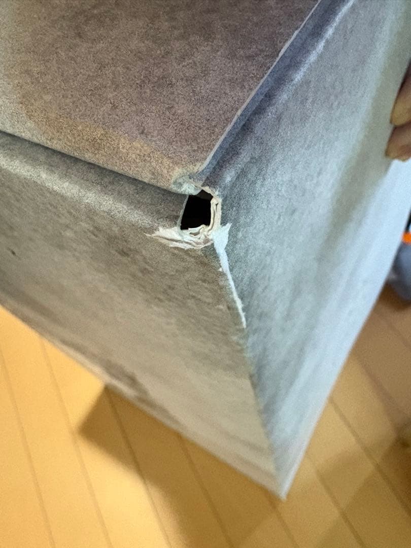 THE MONSTERS ANGEL IN CLOUDS 天使 ラブブ ジモモ