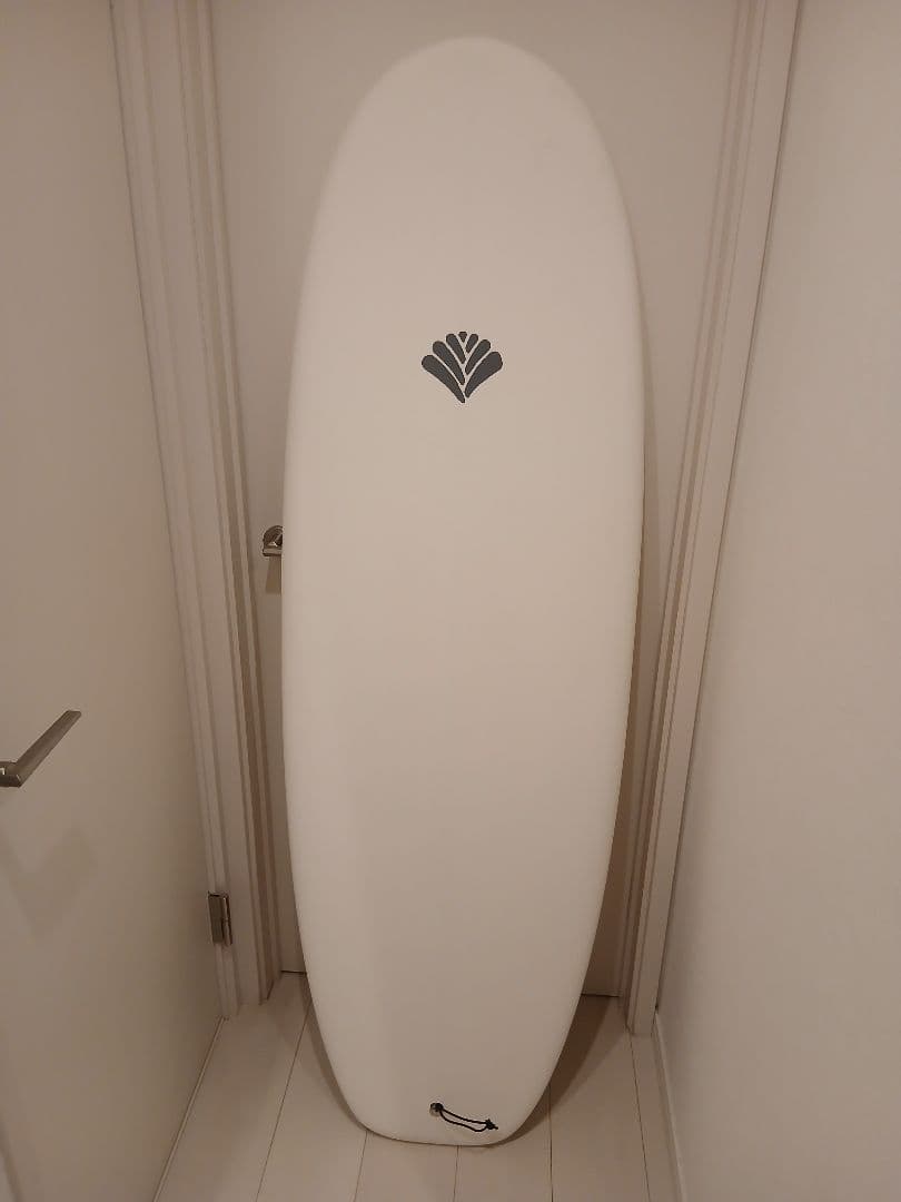 サンタクルクズ サーフボード 5'11 ARCHY（マットアーチボルド）