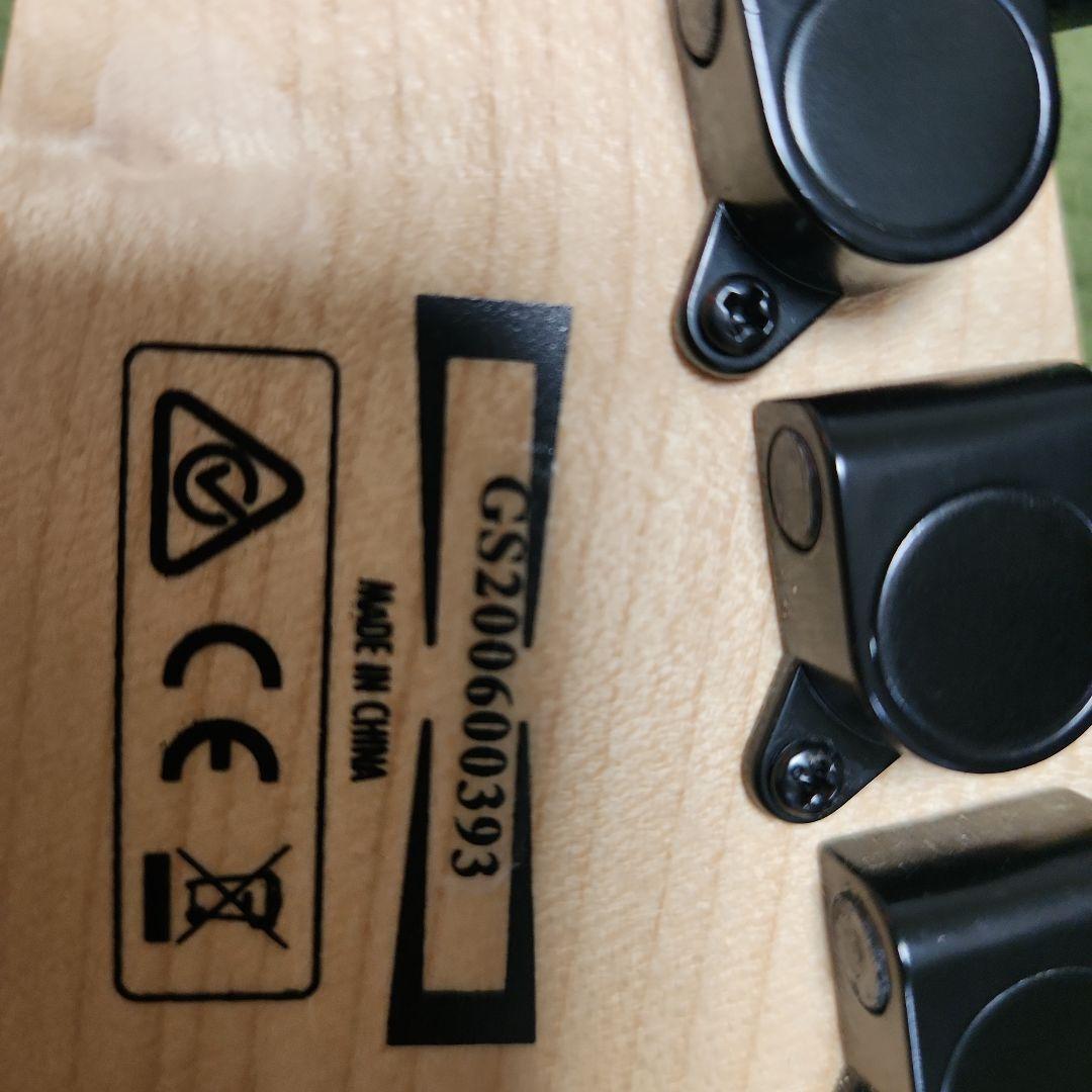 Ibanez RGV250 WH 美品