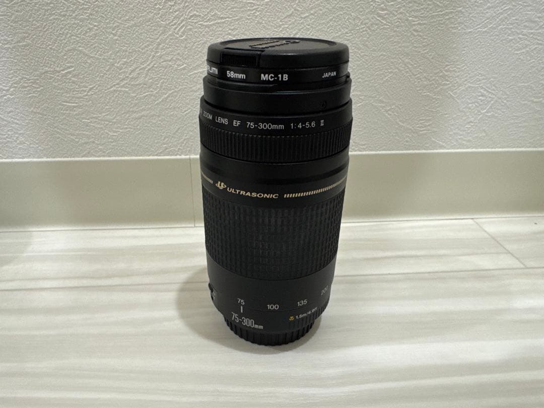 ⭐︎美品⭐︎Canon EF 75-300mm F/4-5.6 II USM