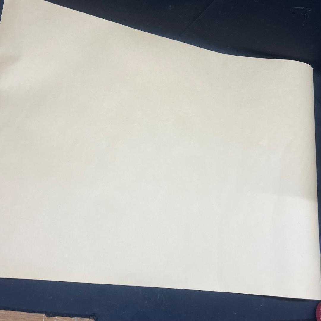 〇Nc左1066 doa LIVE2005 open-d ポスター サイン入