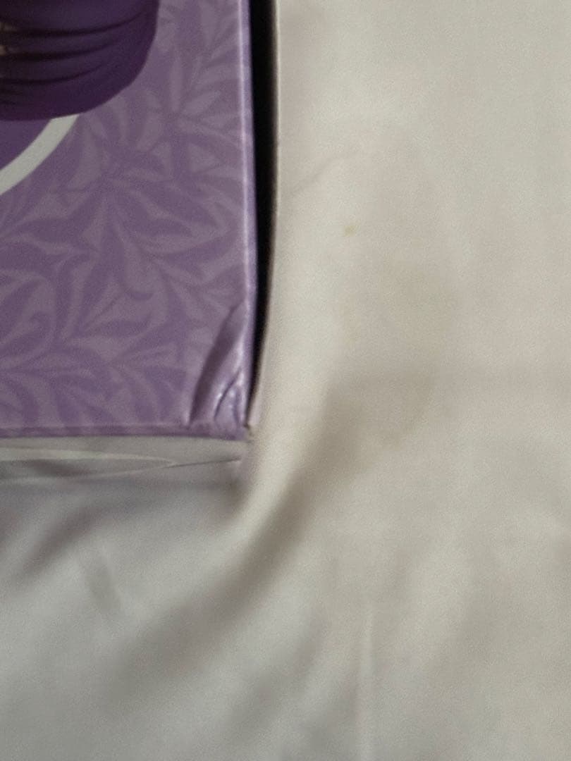 ねんどろいど 葬送のフリーレン フェルン 2体まとめ売り 新品未使用 特典付き