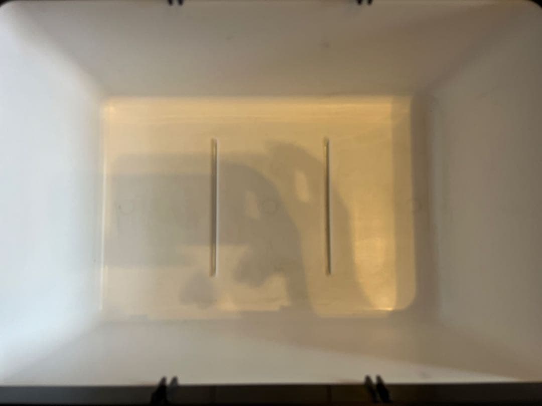 まるまりさん専用