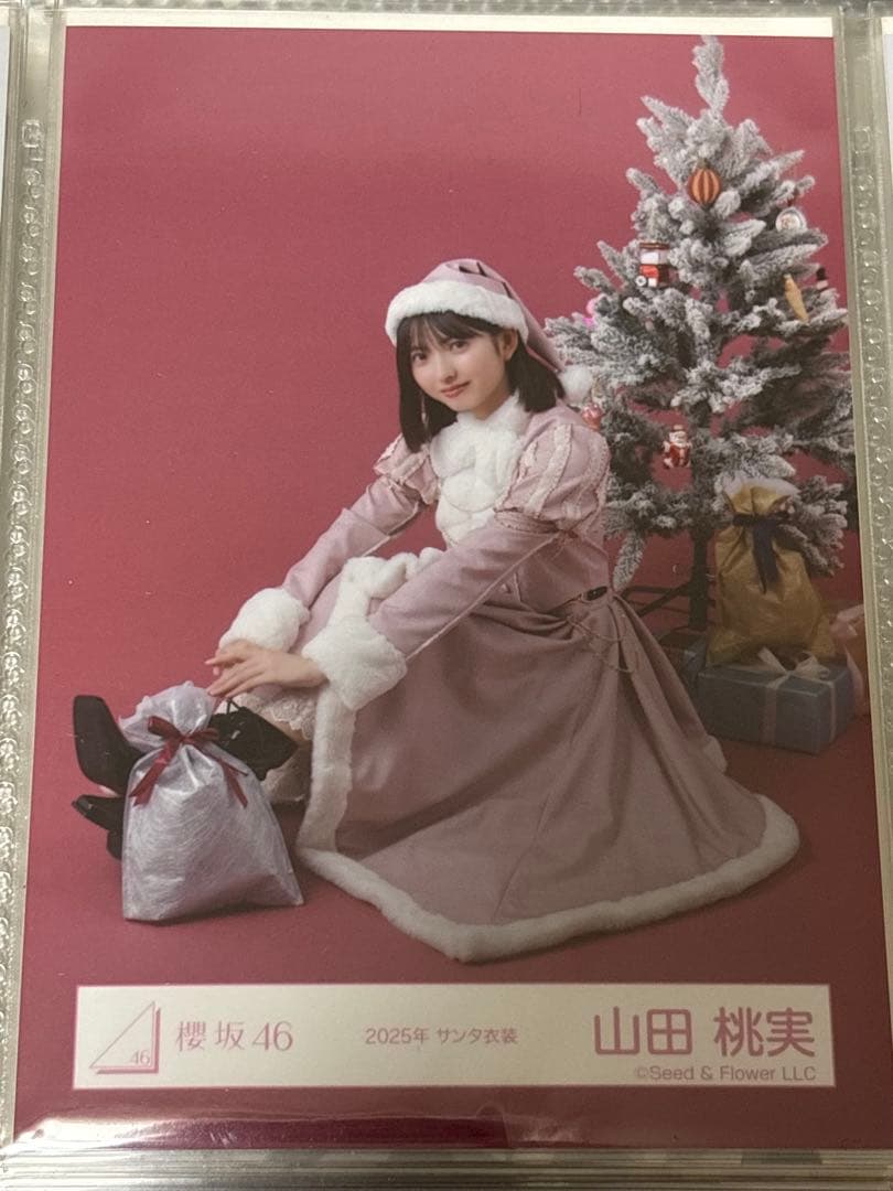 櫻坂46 生写真 山田桃実 2025年サンタ衣装 スワリ - メルカリ