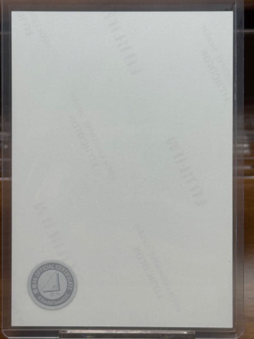 【期間限定値下げ】櫻坂46 2025 サンタ 谷口愛季 生写真 直筆 サイン