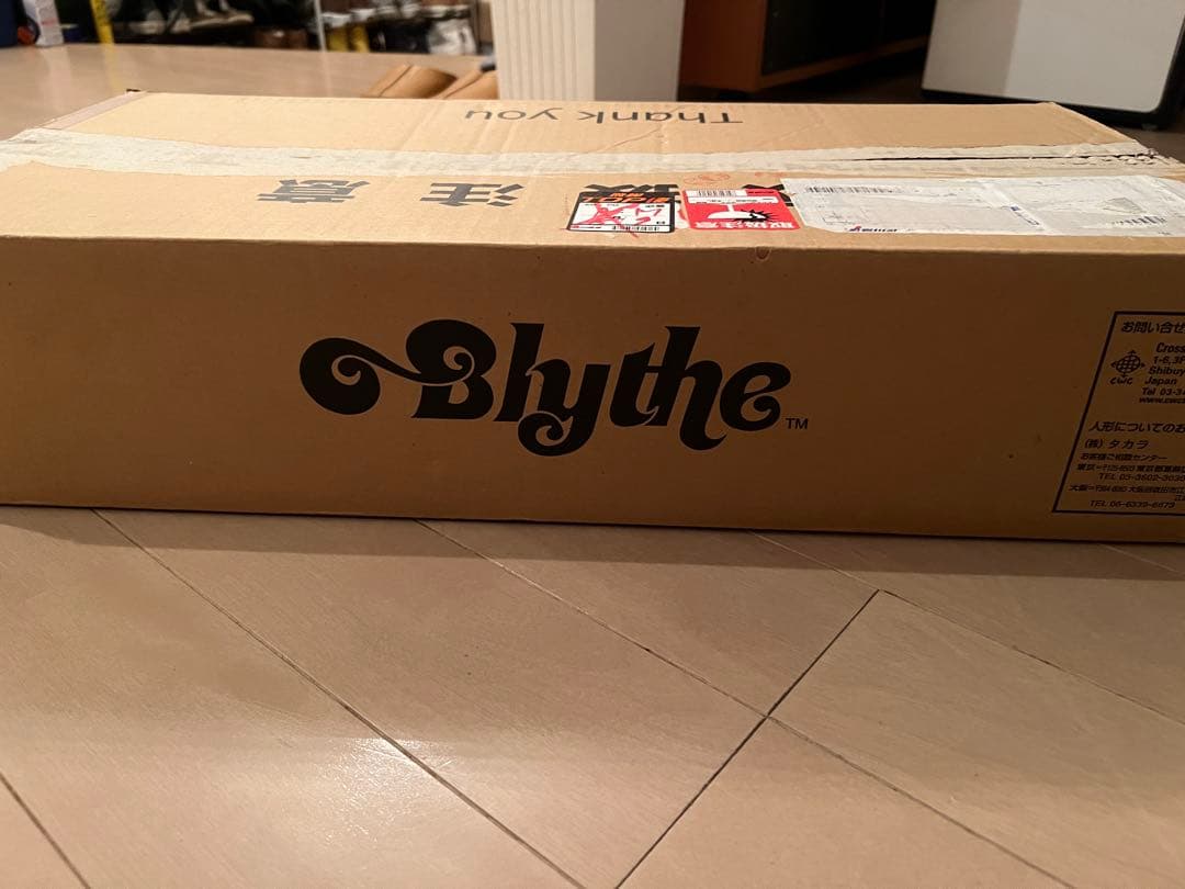 ブライス☆コートニーテズバイナイキ　NIKE　新品未使用