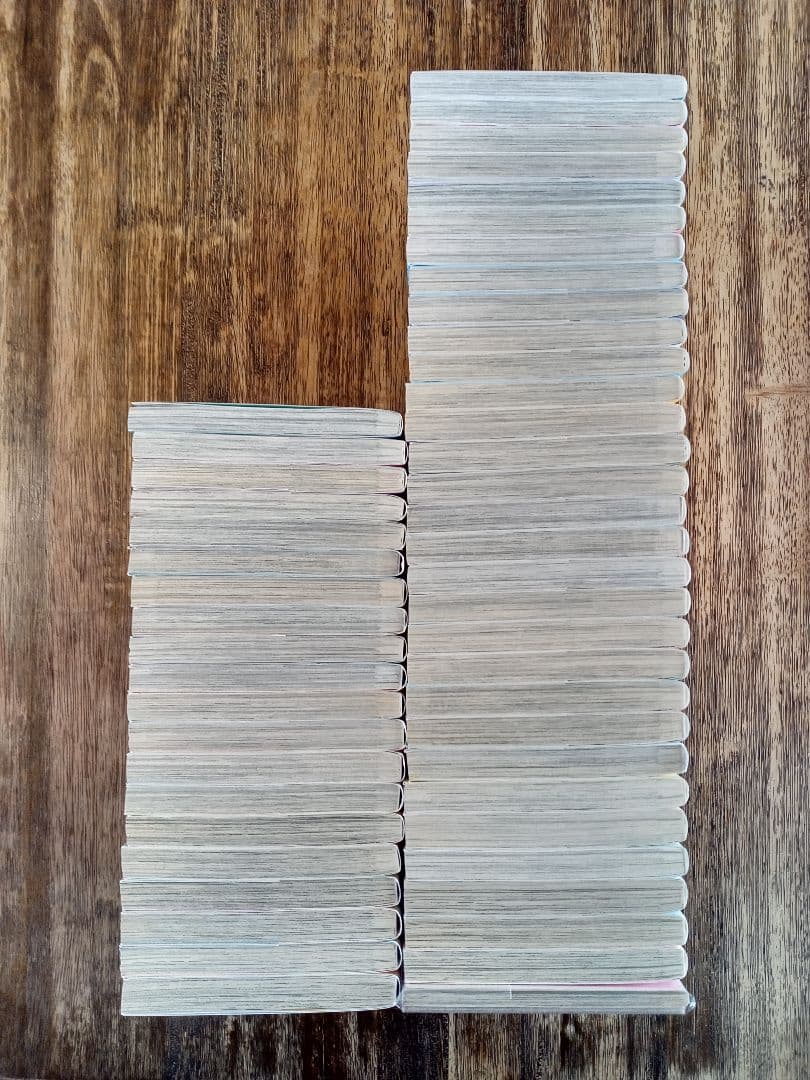 純情ロマンチカ 全30巻＋世界一初恋 全20巻 関連本1冊 計51冊セット