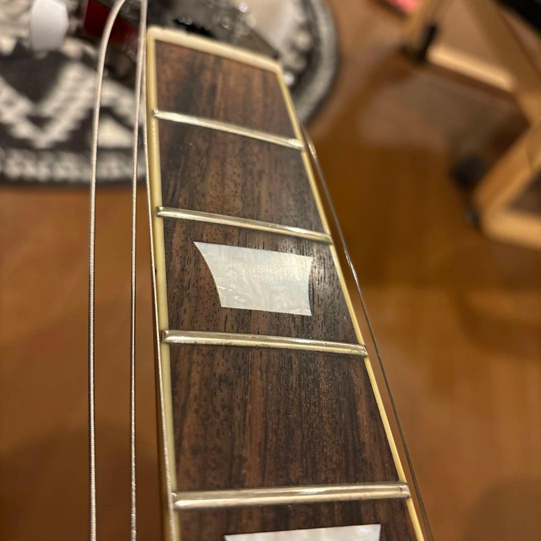 Edwards ESP ALOHA KEN レスポール 横山健モデル - メルカリ