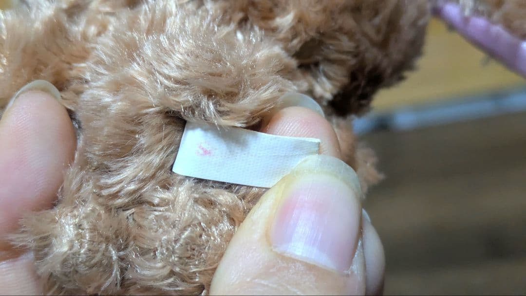 シュガーバニーズ くろうさ 5周年限定 ぬいぐるみセット